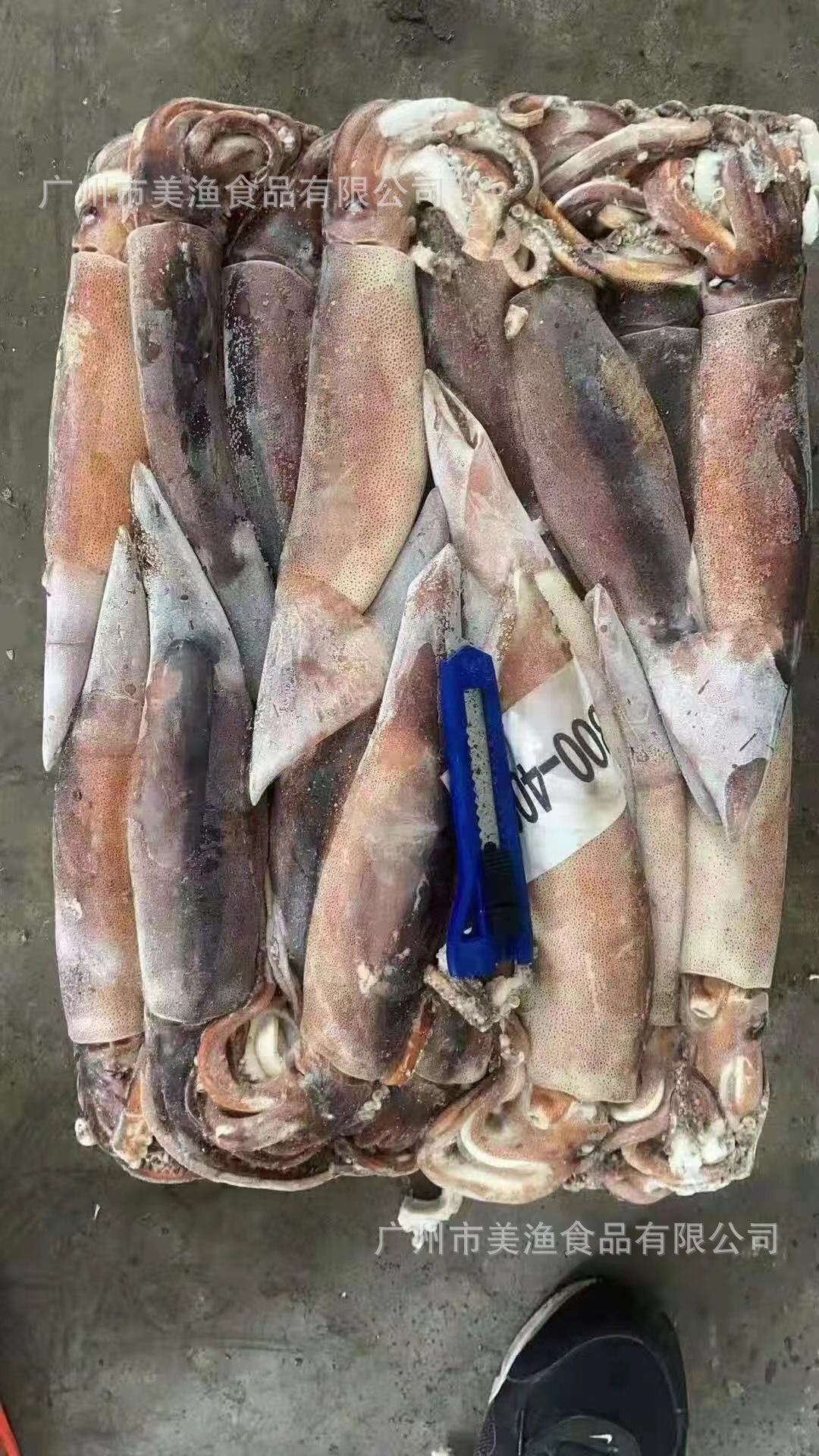 鲜板冻阿根廷鱿鱼300-400克25斤/箱铁板烧烤串鱿鱼鱿鱼原只红鱿鱼