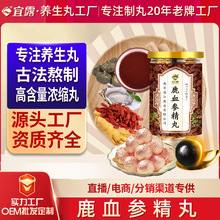 三贝奥纳 男士滋补 人参玛卡粉 官方正品 人参玛卡粉