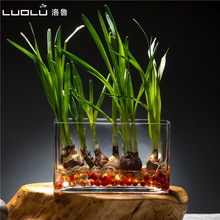 水培植物玻璃瓶长方形 水培绿萝富贵竹花盆水培花卉花瓶鱼缸器皿