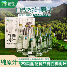 小兴安岭天然白桦树汁原液原汁含量水植物饮310ml*6瓶绿茶其他