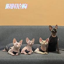 无毛猫衣服夏季透气新款无毛猫衣服猫咪吊带薄弹力斯芬克斯德文