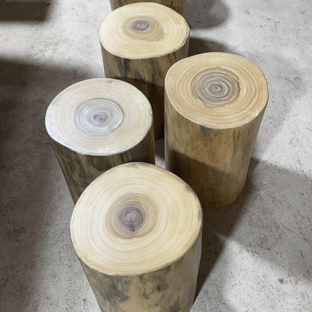 原木香樟木树墩树桩木桩凳坐凳子花架根雕茶几实木大底座墩子木墩