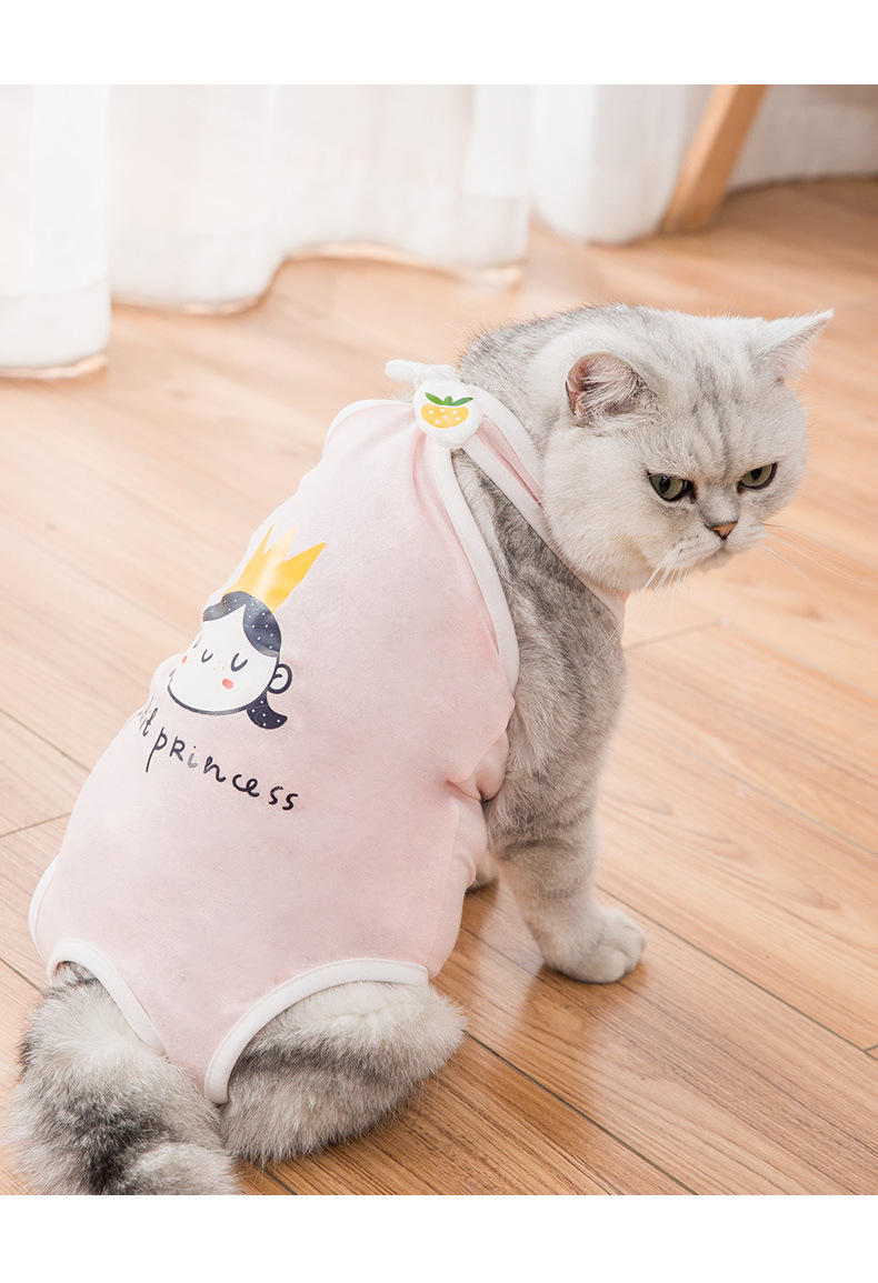 猫咪绝育服母猫手术服春夏装断奶薄款防掉毛术后防舔蓝猫防咬衣服