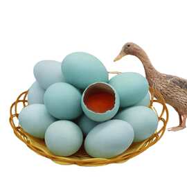 枚起批 初生小蛋农村散养土鸭蛋生鸭蛋新鲜放养野鸭蛋批发基地
