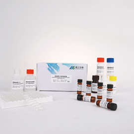 河豚毒素(ttx)elisa检测试剂盒河豚毒素酶联免疫试剂盒