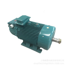 上海麒晟 YZR225M-8-22KW冶金起重绕线转子三相异步电动机