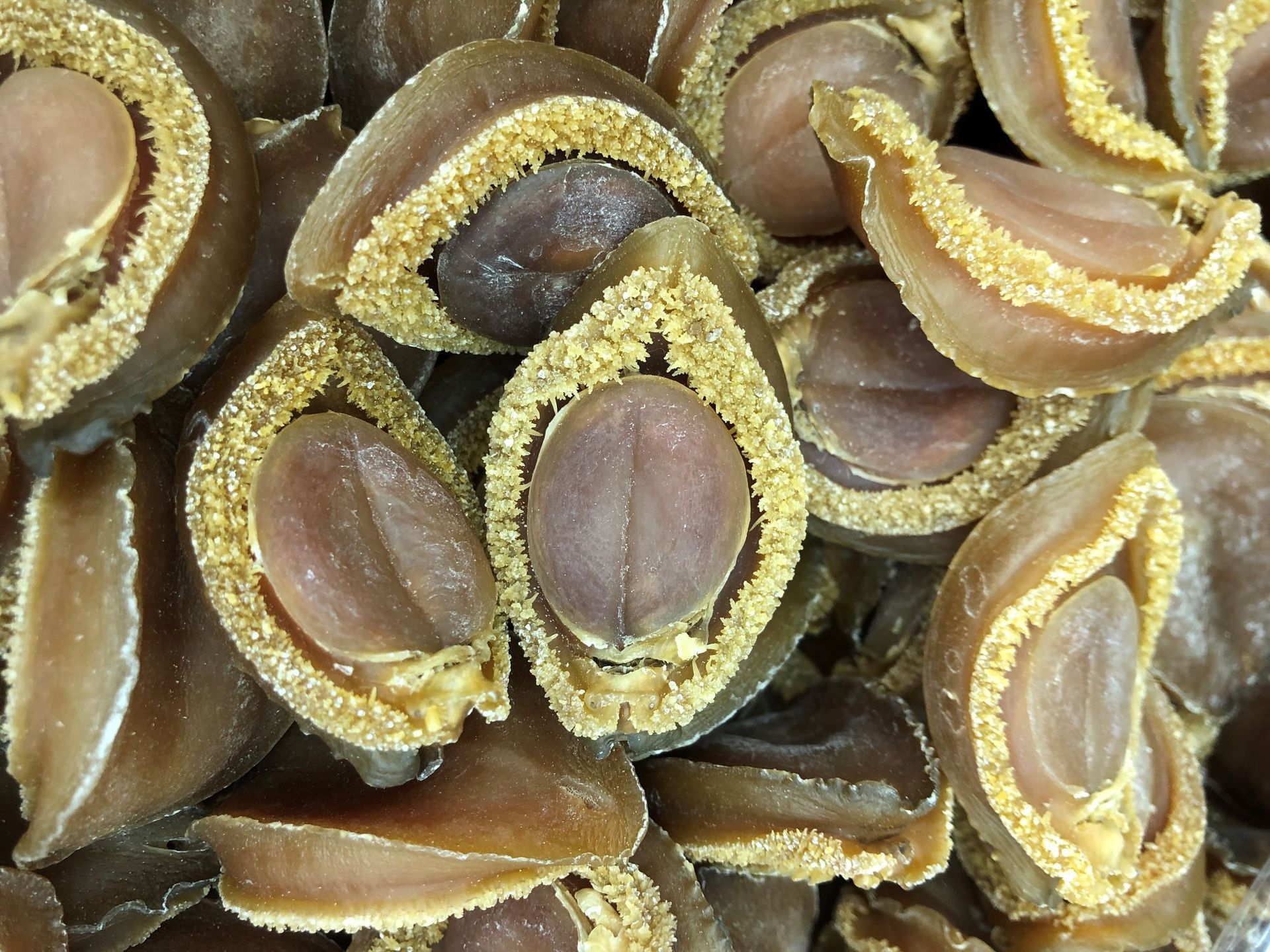 批发渠道南非吉品鲍鱼陈年老鲍吉品鲍一德路海味干货一件代发