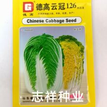 德高云冠126大白菜种子杂交黄心白菜春播早熟抗根肿病耐抽苔