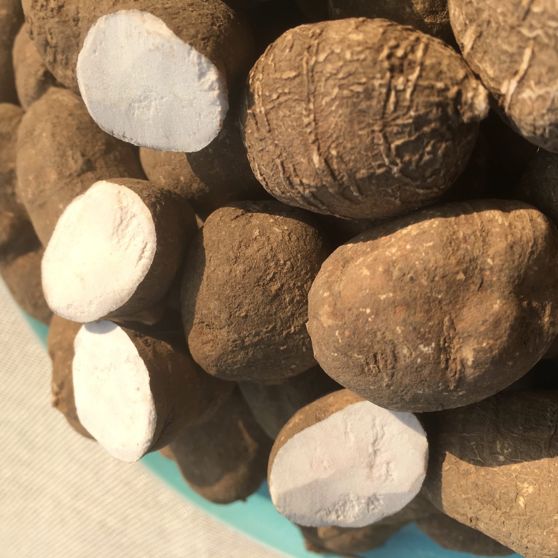 批发冷背奇中药材浙江三叶青整个金线吊葫芦干金丝吊葫芦