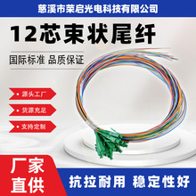 荣启光电热销电信级光纤跳线12芯束状尾纤 应用广泛 长度可选择