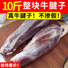 牛肉10斤牛腱子新鲜现杀原切不调理牛腱子鲜5斤批发饭店牛腱子