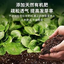 土有机保肥透气养花种菜多肉绿萝兰花育苗肥料植物通用培育土