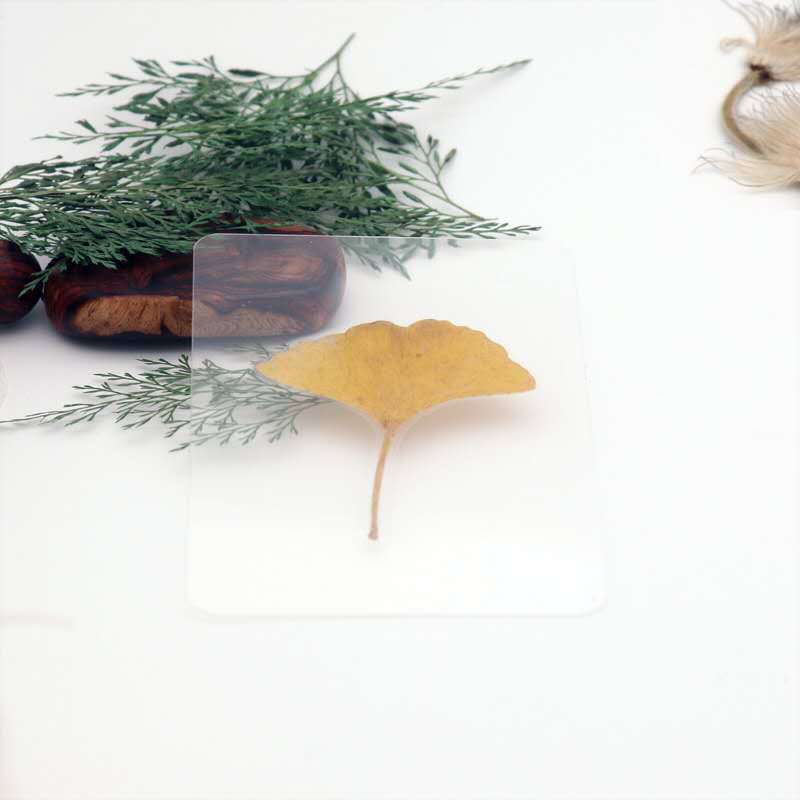 塑封植物干树叶合集胶封书签卡片红枫银杏合欢叶子小礼物-阿里巴巴