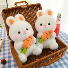 女童网红胡萝卜兔子公仔毛绒玩具小白兔抱枕儿童生日女