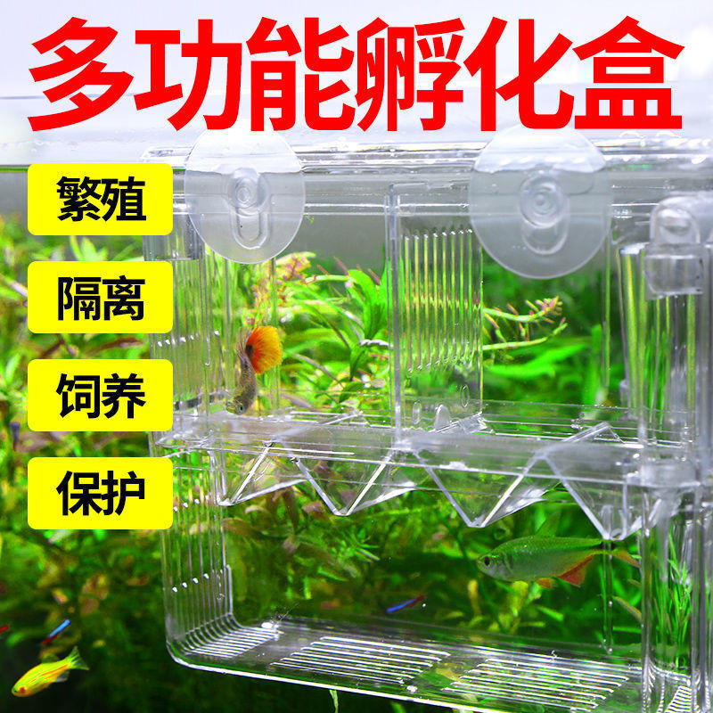 孔雀鱼繁殖盒鱼缸鱼苗孵化器隔离盒小鱼孵化盒大号亚克力鱼卵产房