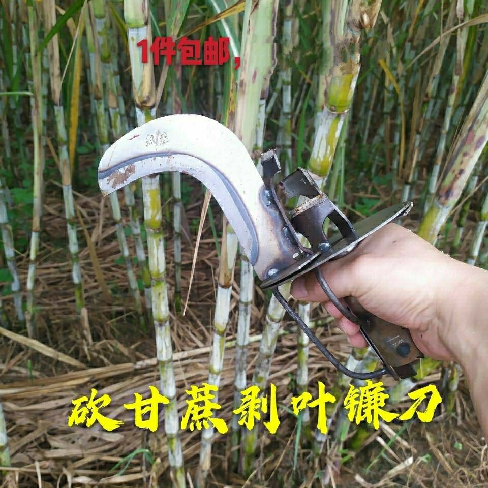 甘蔗剥叶刀越南砍甘蔗去叶竹蔗糖蔗青皮蔗剥叶农具云南-阿里巴巴