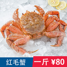 红毛蟹俄罗斯毛蟹生冻海鲜螃蟹日料自助食材冷冻海鲜新鲜水产商用