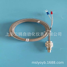 卫生型热电阻温度传感器直形管接头式装配热电阻
