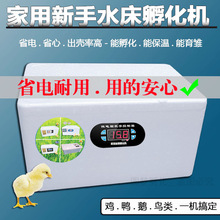 孵化器智能小型家用孵化机自动智能鸡鸭鹅鸽蛋保温箱水床孵蛋器