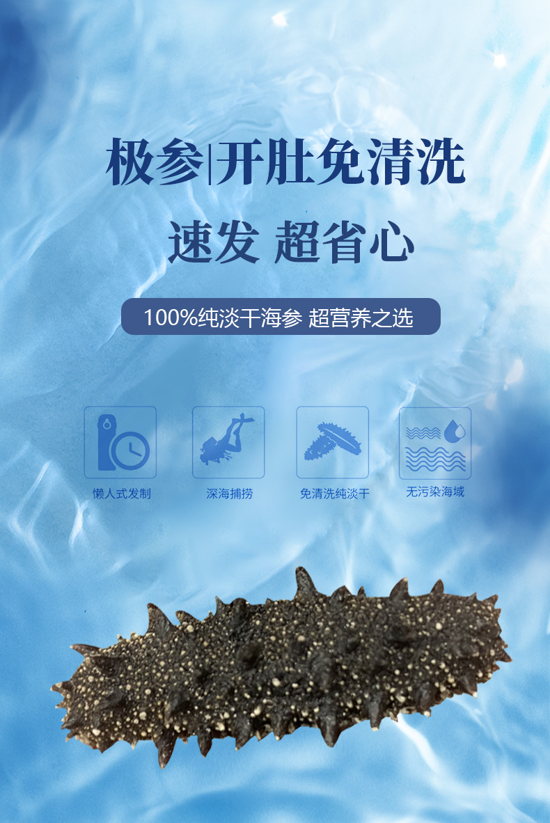 工厂直销 大连速发海参150-250头辽刺参干货 免煮速发海参批发