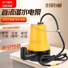 小型直流小潜水泵12V24V220V塑料船用农用浇地家用船舱抽水机包邮