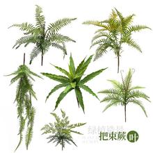 仿真绿植富贵蕨类植物景观波斯蕨霸王蕨绿色叶子室内造景插花装饰