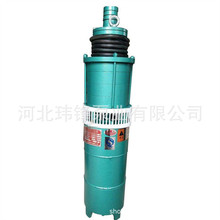 QS 小型深井潜水泵QJ系列潜水电泵不锈钢潜水泵玮锋牌潜水电泵