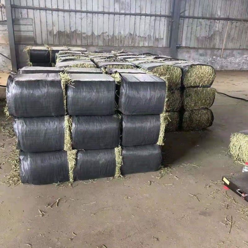 苜蓿草批发100斤干草牛羊草料奶牛奶山羊草羊驼人气牧草饲料-阿里巴巴