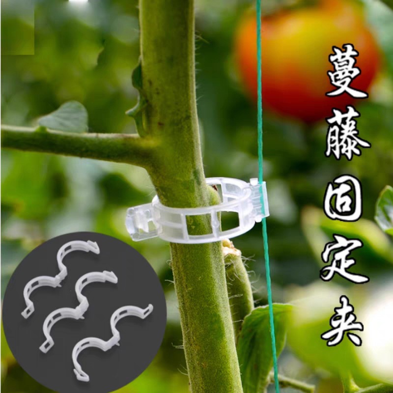 Vine Clamp Tie Tendril Clip Hanging Seedling Buckle Green Plant Clip Vine Fixed Clip Pepper Eggplant Holder Rice Seedling Plant Clips