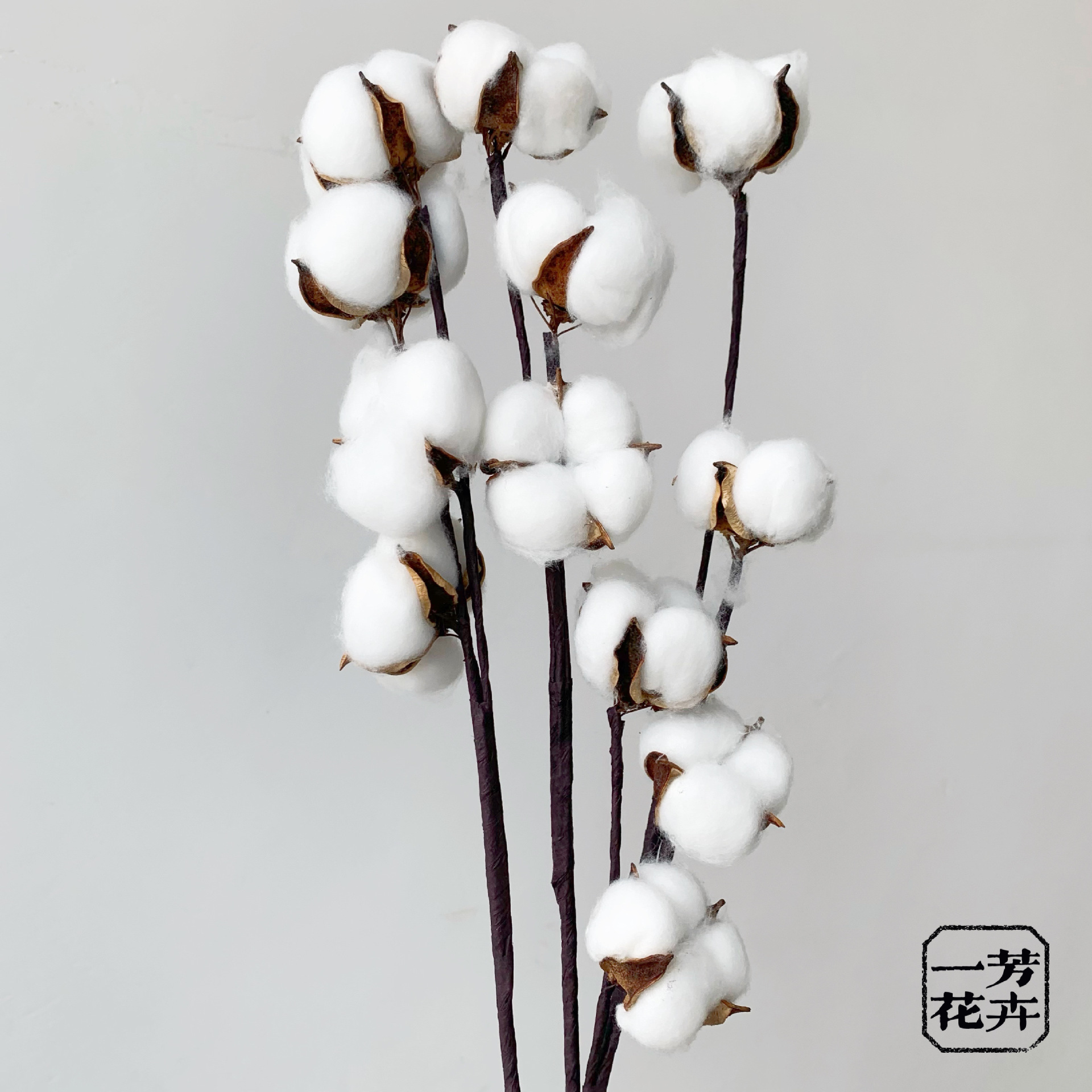 用途花束是否染色未染色品牌一芳花卉品种棉花是否进口否分类叶脉干花