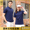 new pattern Ice Cotton Lapel Polo Printing advertisement T-shirt Community service coverall Embroidery TS22167