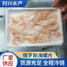 俄罗斯海螺片煲汤煲粥海螺片海鲜水产批发海鲜火锅日料烧烤食材