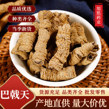 中药材批发 巴戟天 巴戟肉抽芯 新货无硫 泡茶泡酒500g包邮