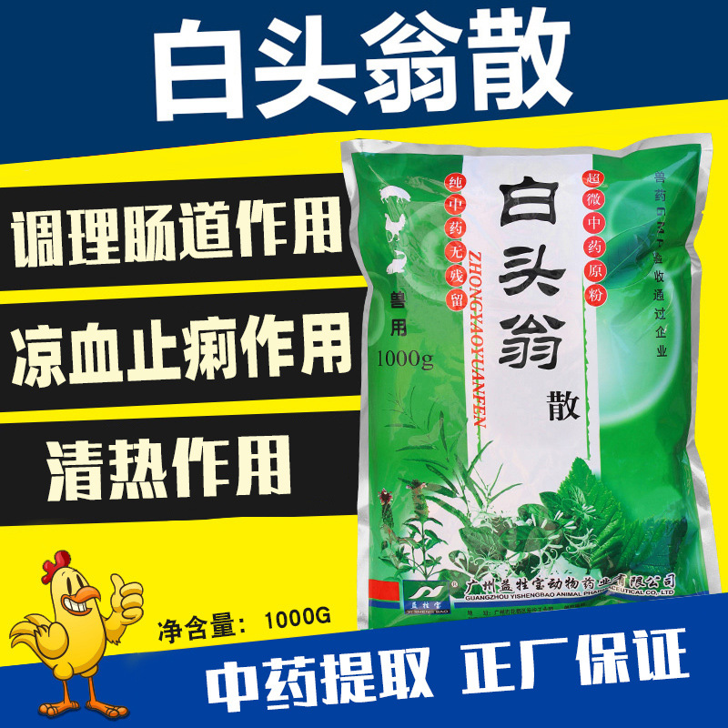 白头翁散兽药仔猪拉稀鸡鸭鹅大肠杆菌下痢牛羊腹泻兽用