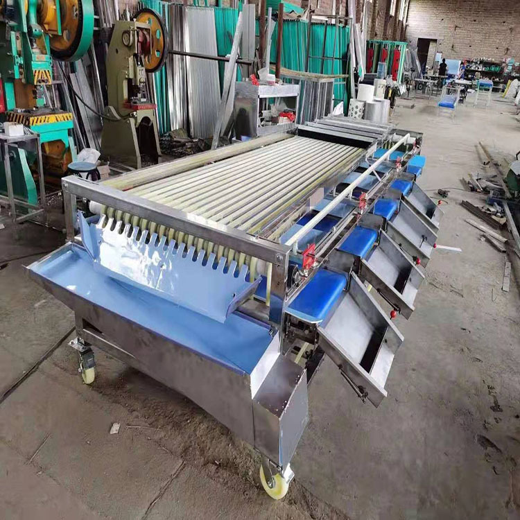 圣女果分拣机 选果机 不锈钢材质果蔬分选设备-阿里巴巴