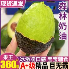 巨无霸 精品15个装云南牛油果新鲜水果鳄梨哈斯大果当季整箱包邮9