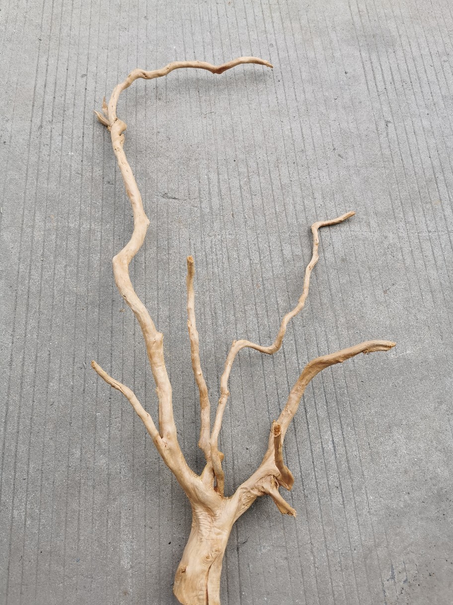 造景雨林长枝条 长树根 单枝杜鹃根 软装假树 根雕原生态鱼缸造景