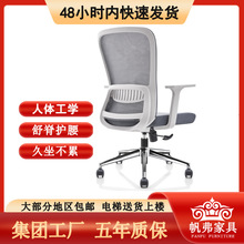 职员办公椅子弓形椅会议椅宿舍椅久坐电脑椅升降旋转椅办公室座椅