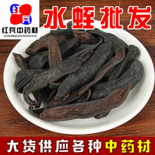 批发中药材水蛭 水蛭干 清水吊干水蛭承接大货量大价优水蛭干