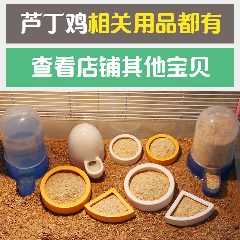 芦丁鸡饲养箱家用发酵床笼子饲养箱养鸡仓鼠鹌鹑基础笼养殖笼