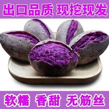 【香甜粉糯】沙地紫薯新鲜红薯地瓜板栗蜜薯蔬菜番薯批发/5/0斤