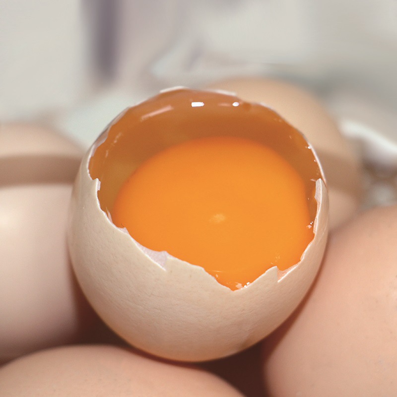 九华山竹林土鸡蛋30枚普通装