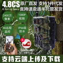 4G网络红外相机，支持APP 云服务器上传 带手机流量卡，可充值