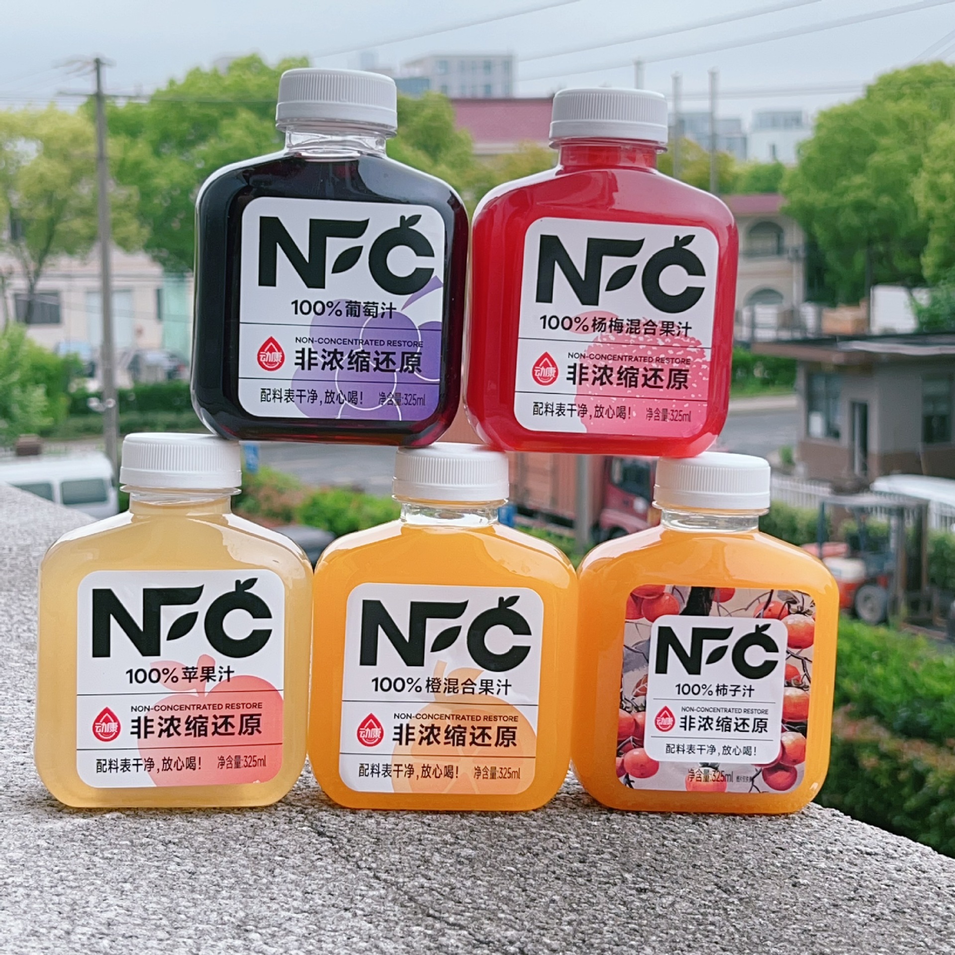 动康nfc100%葡萄汁325ml*20瓶柿子汁非浓缩还原苹果橙汁果汁饮料
