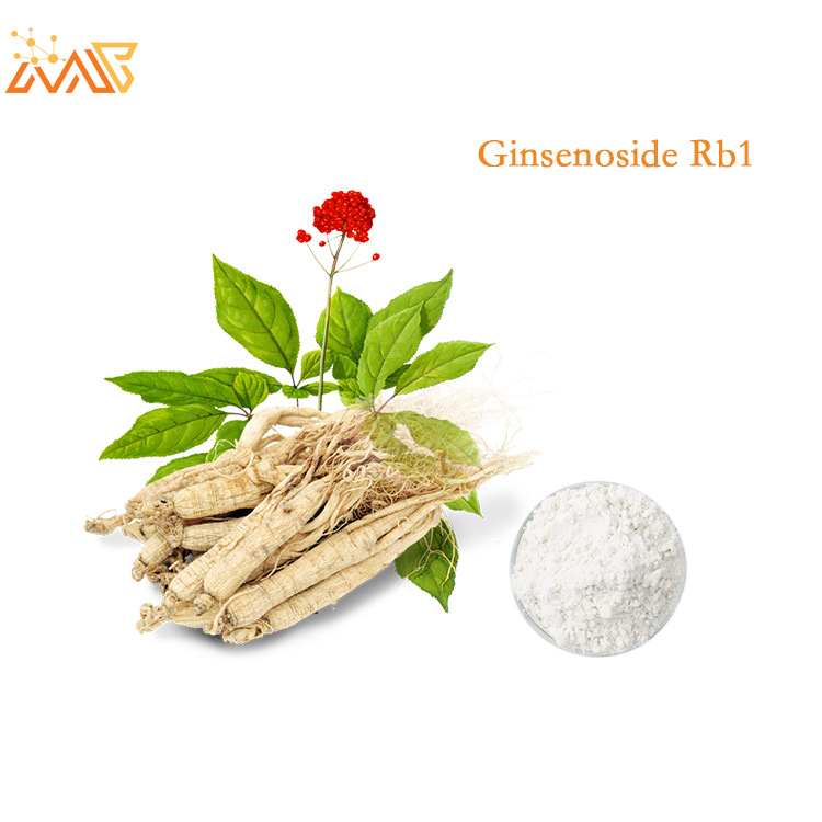 人参皂苷rb1 50% 三七提取物 100g 厂家直供