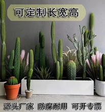 长方形水泥花盆窄长条马槽客厅阳台种菜箱镁泥花箱 可跨境专供代