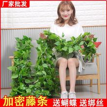 仿真绿植物藤条假花装饰空调管道缠绕树叶遮挡绿叶塑料绿萝葡萄叶