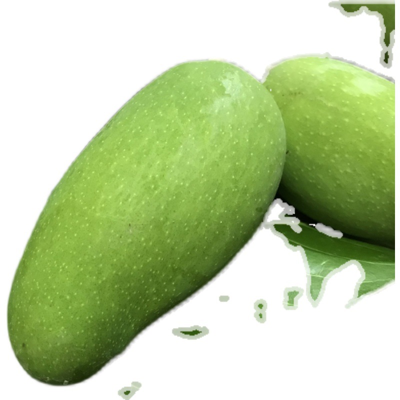 云南版纳生吃芒牙芒酸脆小青芒鸡芒水果孕妇新鲜当季5斤包邮