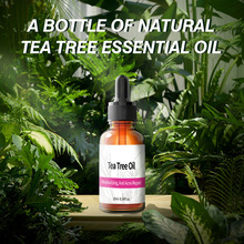 茶树精油滋润补水保湿抗痘修护Tea tree oil 10ml