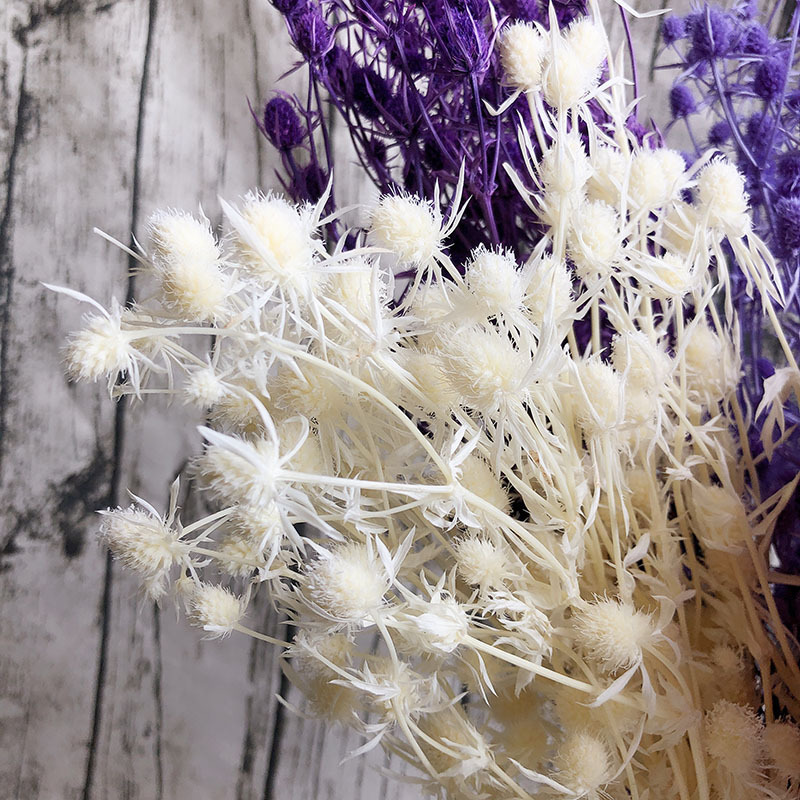 花情人果100克/束diy材料包干花花束实用毕业花材鲜花